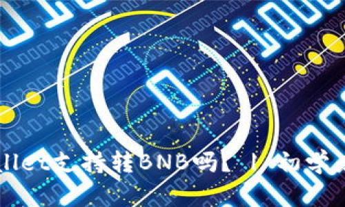 TPWallet支持转BNB吗？ | 初学者指南