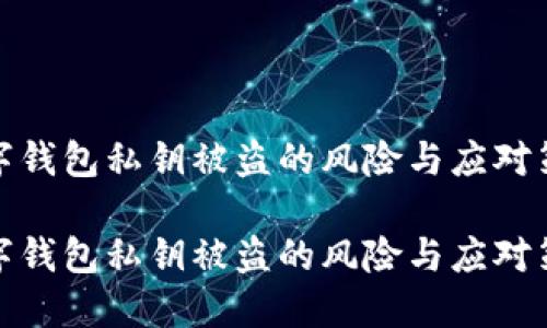 数字钱包私钥被盗的风险与应对策略

数字钱包私钥被盗的风险与应对策略