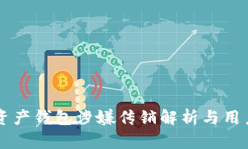 Vpay数字资产钱包涉嫌传销解析与用户防范建议