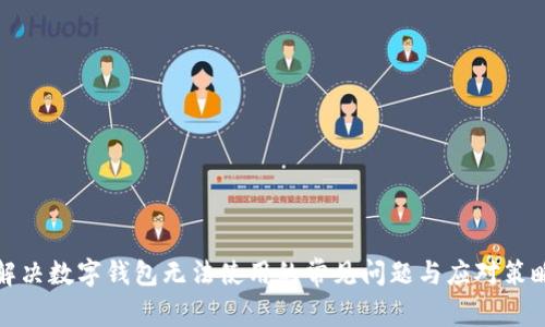 解决数字钱包无法使用的常见问题与应对策略