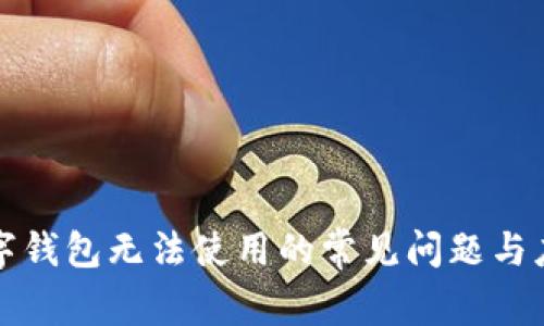 解决数字钱包无法使用的常见问题与应对策略
