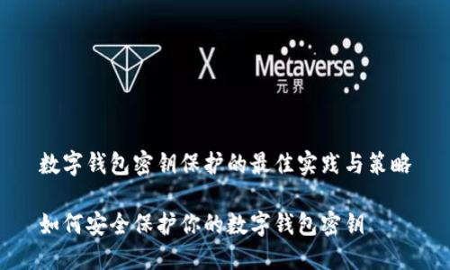 数字钱包密钥保护的最佳实践与策略

如何安全保护你的数字钱包密钥