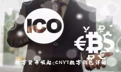 数字货币崛起：CNYT数字钱包详解