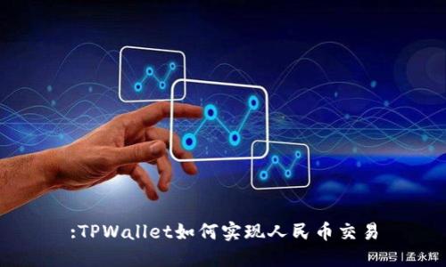:TPWallet如何实现人民币交易