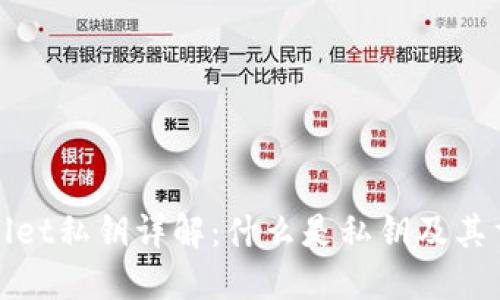 TPWallet私钥详解：什么是私钥及其重要性