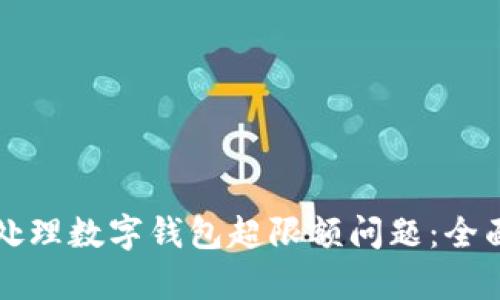 如何处理数字钱包超限额问题：全面解析