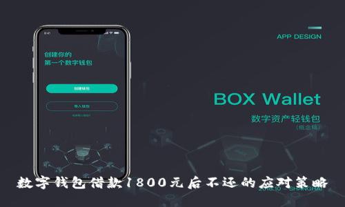 数字钱包借款1800元后不还的应对策略