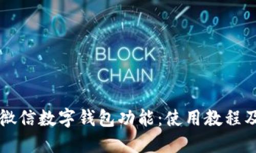 全面解读微信数字钱包功能：使用教程及未来展望