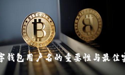 数字钱包用户名的重要性与最佳实践