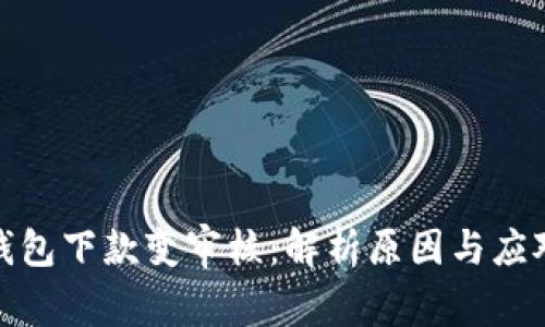数字钱包下款变审核：解析原因与应对策略