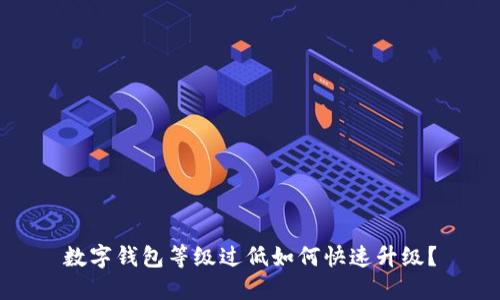 数字钱包等级过低如何快速升级？