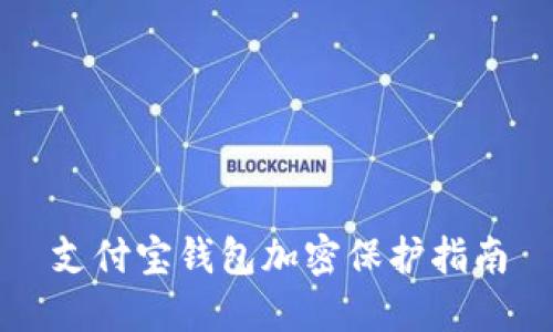 支付宝钱包加密保护指南