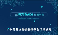 : 如何解决挪威数字钱包下