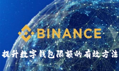 提升数字钱包限额的有效方法