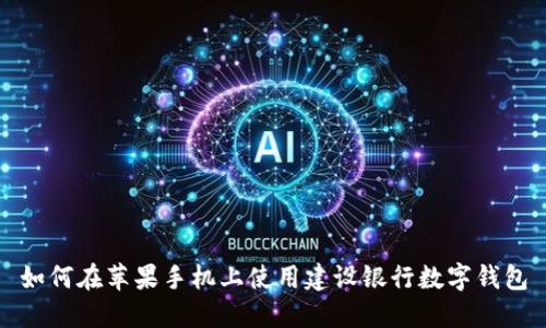 如何在苹果手机上使用建设银行数字钱包
