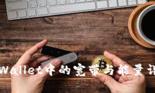 TPWallet中的宽带与能量详解