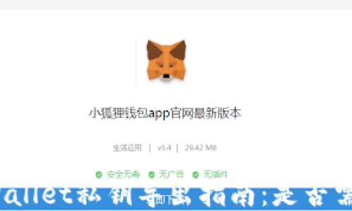 
TPWallet私钥导出指南：是否需要？