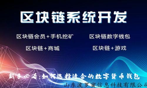 新手必看：如何选择适合的数字货币钱包