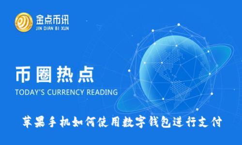 苹果手机如何使用数字钱包进行支付