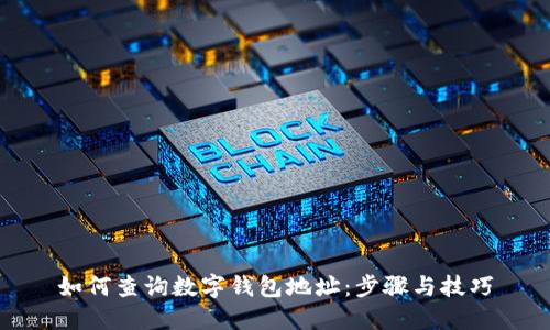 如何查询数字钱包地址：步骤与技巧