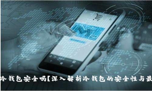 数字币冷钱包安全吗？深入解析冷钱包的安全性与最佳实践