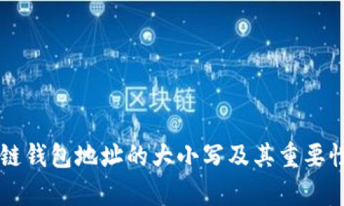 区块链钱包地址的大小写及其重要性解析