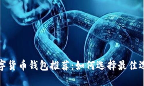 数字货币钱包推荐：如何选择最佳选项
