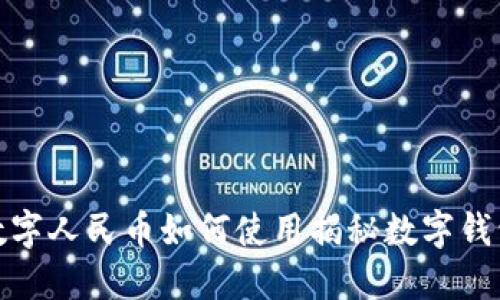 数字人民币如何使用揭秘数字钱包