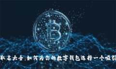 数字钱包取名大全：如何