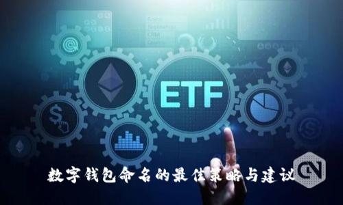 数字钱包命名的最佳策略与建议