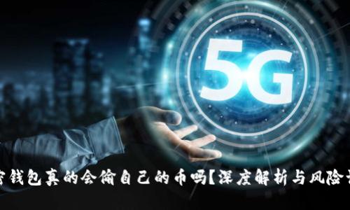 加密钱包真的会偷自己的币吗？深度解析与风险认知