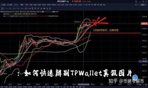 : 如何快速辨别TPWallet真假图片