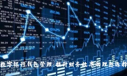 数字银行钱包管理：提升财务效率的理想选择