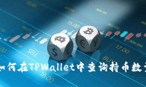 如何在TPWallet中查询持币数量