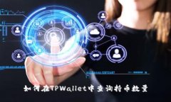 如何在TPWallet中查询持币数