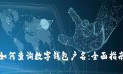 如何查询数字钱包户名：