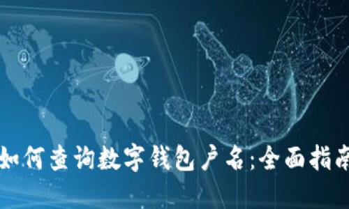 如何查询数字钱包户名：全面指南