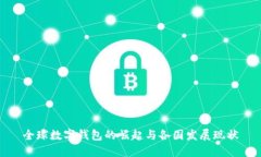 全球数字钱包的崛起与各