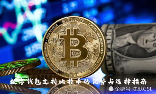数字钱包支持比特币的优势与选择指南