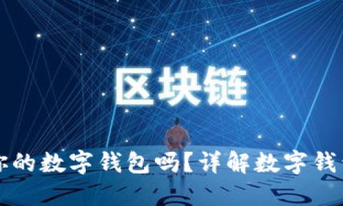 别人能开通你的数字钱包吗？详解数字钱包安全与防护