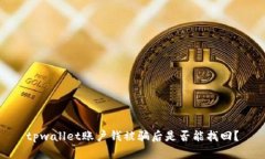 tpwallet账户钱被骗后是否能