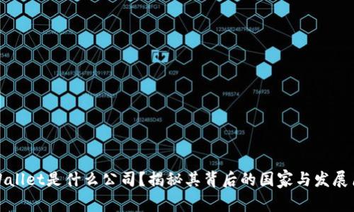 TPWallet是什么公司？揭秘其背后的国家与发展历程