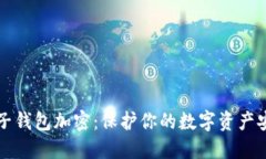 电子钱包加密：保护你的
