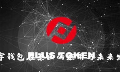 数字钱包在景区的应用与未来发展