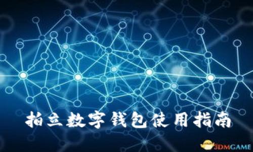 拍立数字钱包使用指南