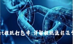 TPWallet提现打包中：详解提