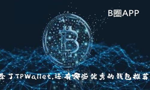 除了TPWallet，还有哪些优秀的钱包推荐？
