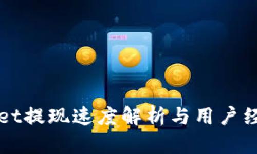 TPWallet提现速度解析与用户经验分享