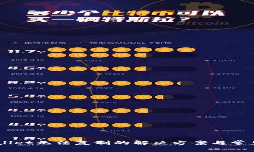 关于TPWallet无法复制的解决方案与常见问题解析