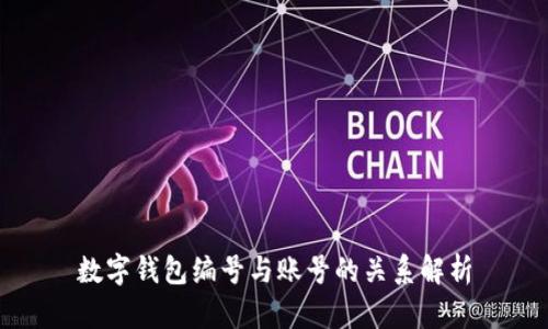 数字钱包编号与账号的关系解析